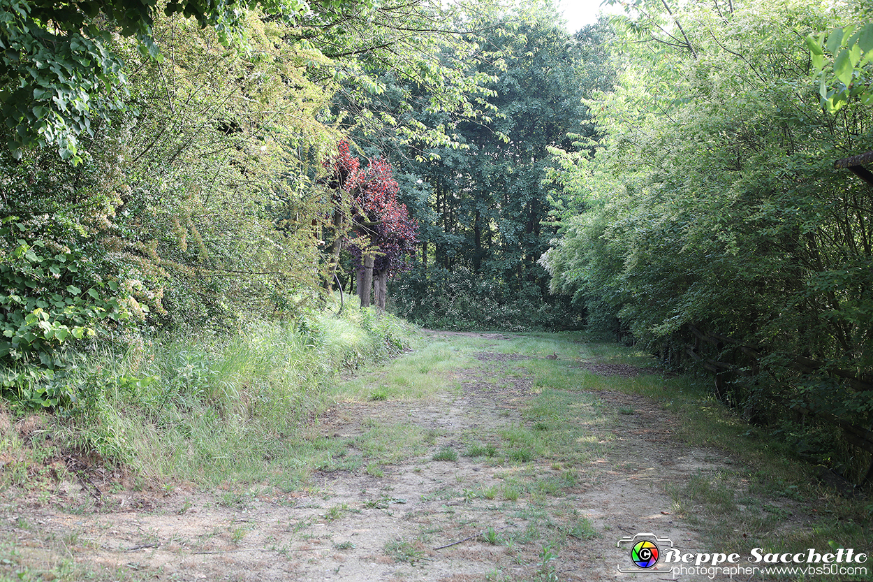 VBS_9467 - A spasso per Tigliole 2025 - Nona edizione.jpg